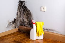 Why You Should Choose Our Mold Remediation Services in Marshallton, PA